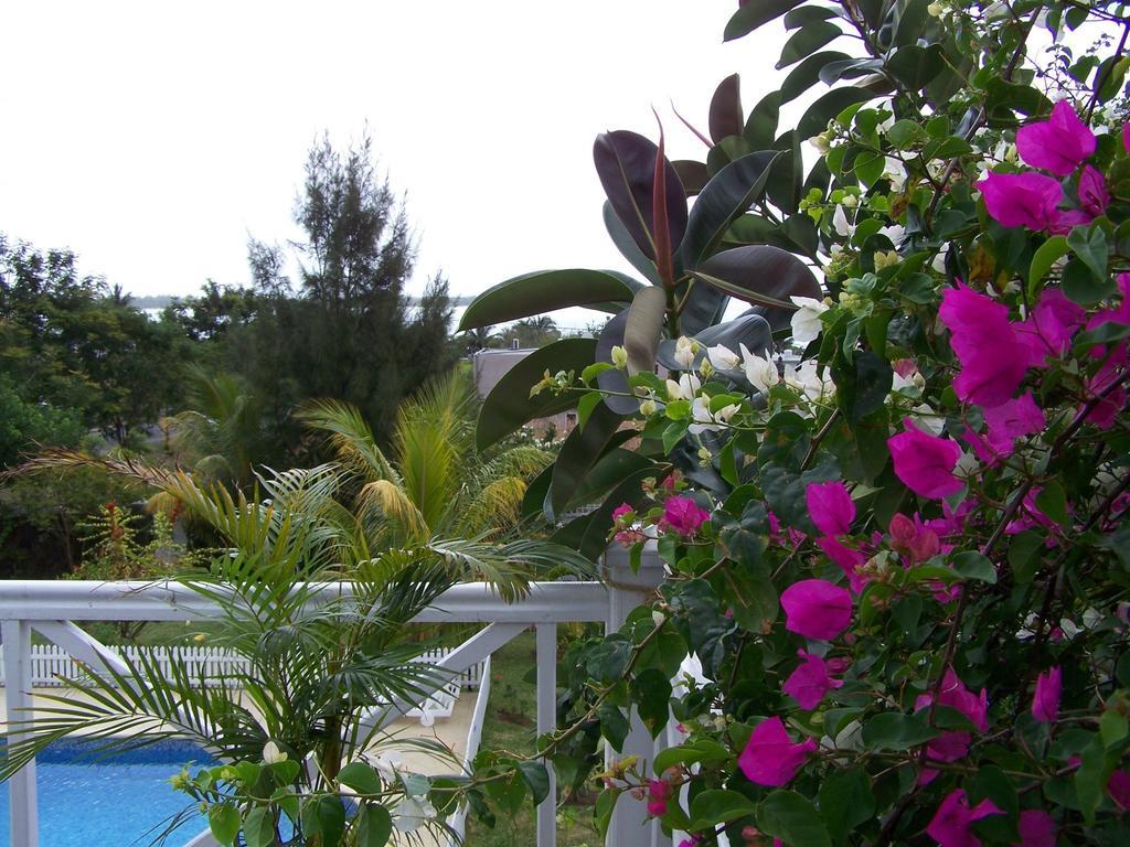 Bed And Breakfast Maison Papaye La Gaulette Dış mekan fotoğraf